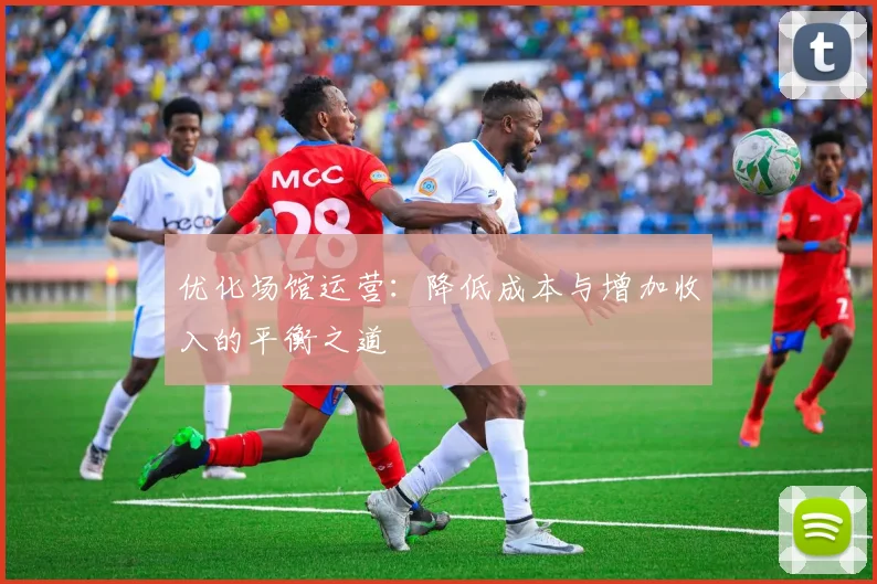 优化场馆运营：降低成本与增加收入的平衡之道