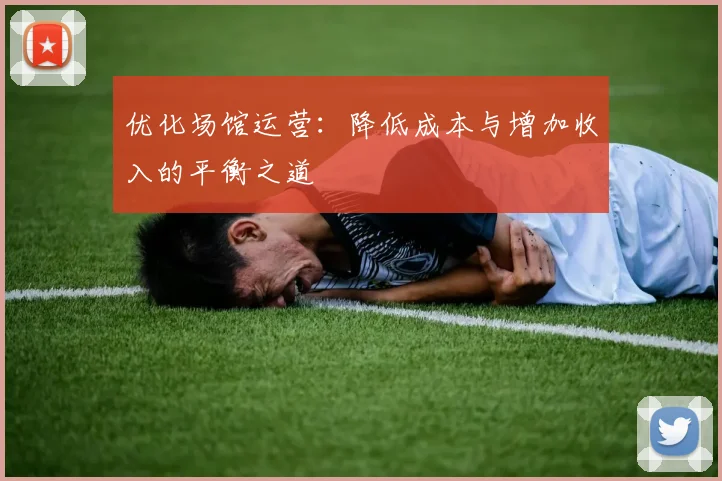 优化场馆运营:降低成本与增加收入的平衡之道